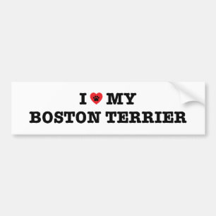 I Heart My Boston Terrier Bumper Sticker