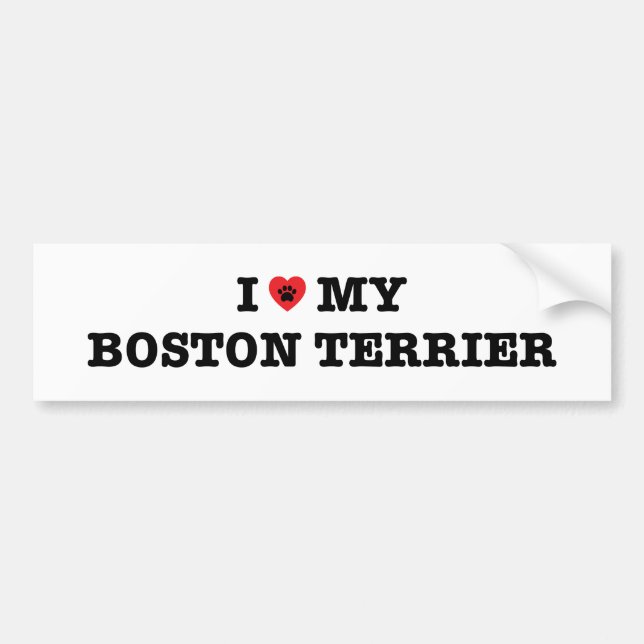 I Heart My Boston Terrier Bumper Sticker (Front)