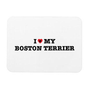 I Heart My Boston Terrier Flexible Magnet