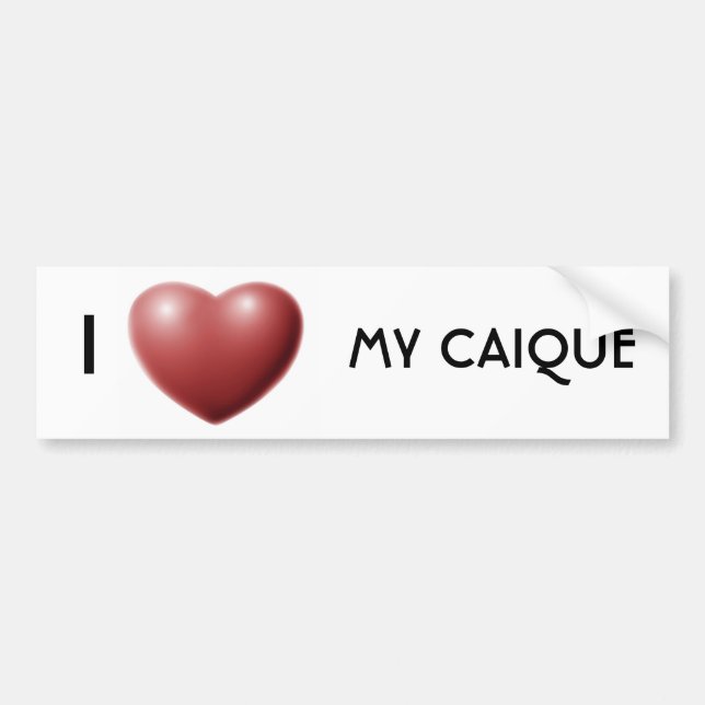 I heart my caique bumper sticker (Front)