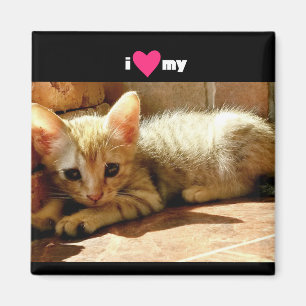 I Heart My Cat Magnet