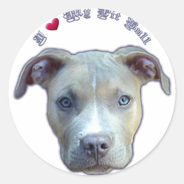 I Heart My Pit Bull Sticker (Front)