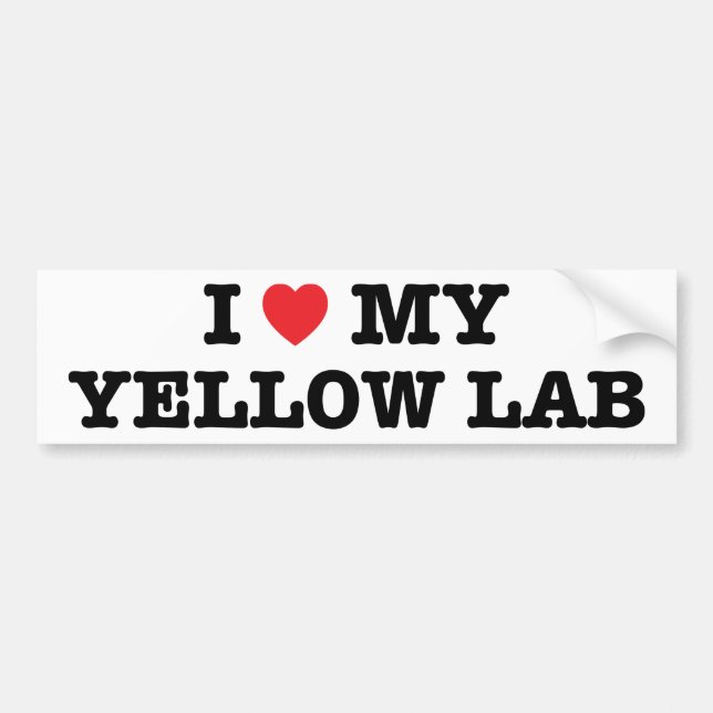 I Heart My Yellow Lab Bumper Sticker (Front)