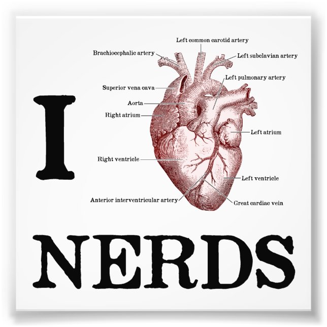 I Heart Nerds Photo Print (Front)