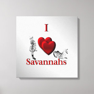 I Heart Savannah Cat Silver Canvas Print