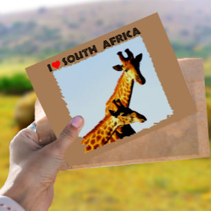 I Heart South Africa Blue Sky Giraffes Postcard