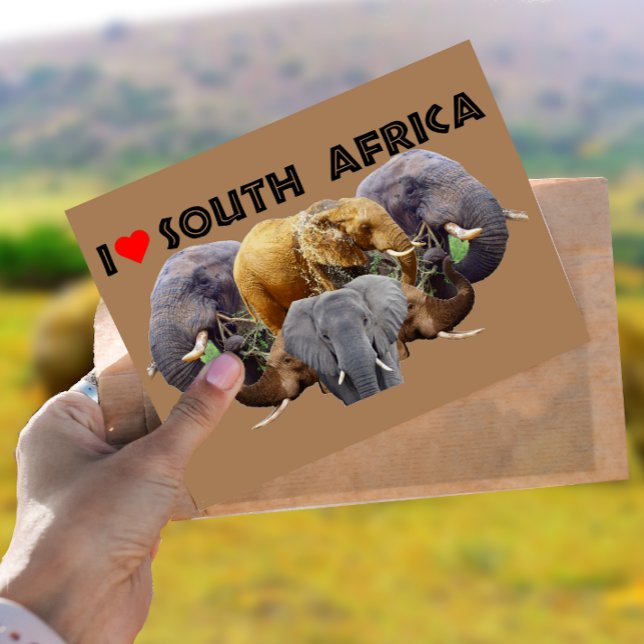I Heart South Africa Elephant Emblem Postcard (Creator Uploaded)
