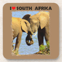 I Heart South Africa elephants in love