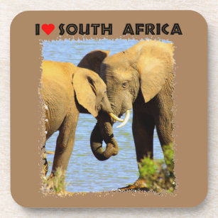 I Heart South Africa elephants in love Coaster