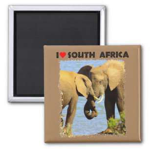 I Heart South Africa elephants in love Magnet