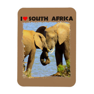I Heart South Africa elephants in love Magnet