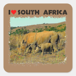 I Heart South Africa Rhino amongst the reeds Square Sticker