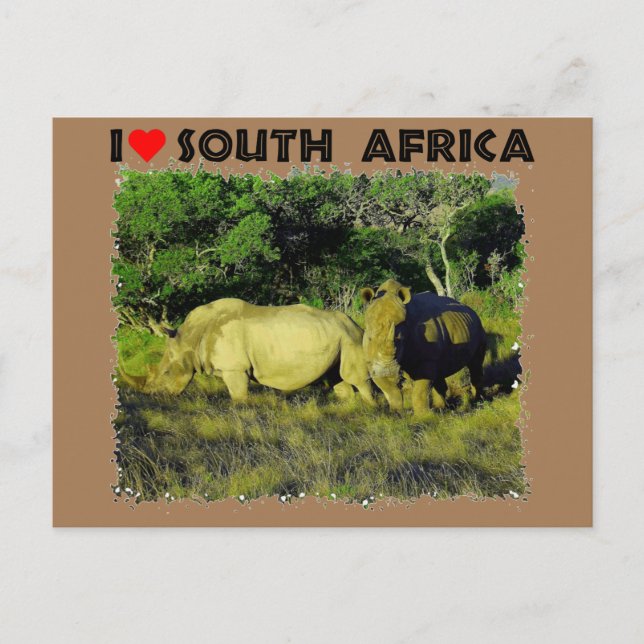 I Heart South Africa Rhino Couple Postcard (Front)