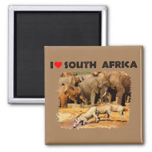 I Heart South Africa warthogs and elephants Magnet