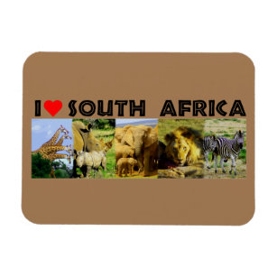 I Heart South Africa Wildlife Photos Magnet