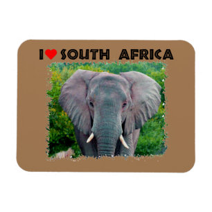 I Heart South Africa young bull elephant Magnet
