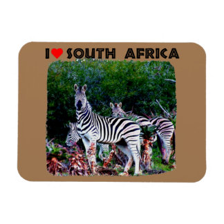 I Heart South Africa Zebra Aloe Magnet