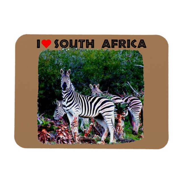 I Heart South Africa Zebra Aloe Magnet (Horizontal)