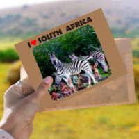 I Heart South Africa Zebra Aloe