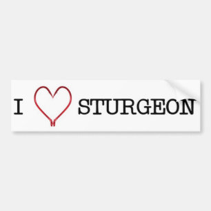 I [Heart] Sturgeon Bumper Sticker