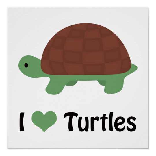 I Heart Turtles Cute Little Cartoon Turtle Poster 