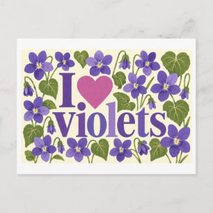 "I [Heart] Violets" Postcard
