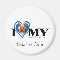 I Heart Yorkshire Terrier-Blue-Magnet