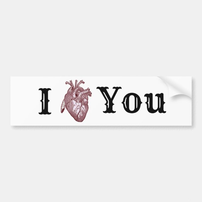 I Heart You Bumper Sticker (Front)