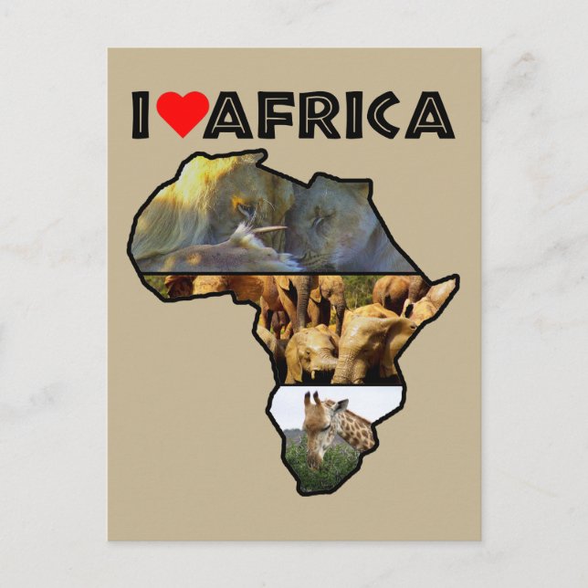 I Heat Africa Wildlife Collage Postcard (Front)