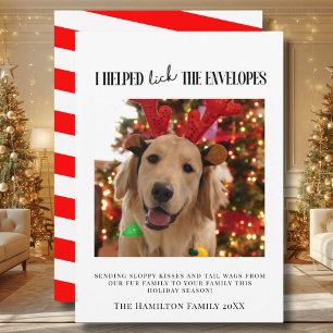 I Helped Lick the Envelopes Dog Photo Christmas Invitation