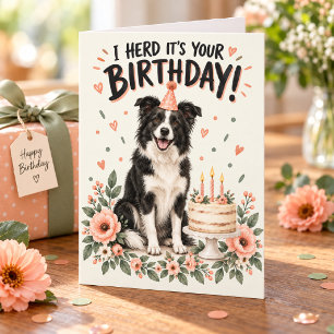 I Herd It’s Your Birthday Funny Border Collie Card