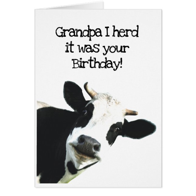 I Herd it Was Your Birthday Grandpa Holstein Cow (Front)