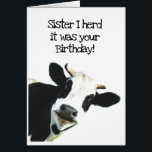 I Herd it Was Your Birthday Sister Holstein Cow<br><div class="desc">I Herd it Was Your Birthday Sister Fun Cow Humour and hope it puts you in a good mooood.   Funny animal birthday humour with a herd of cows.   Good card for someone with a sense of humour or a farmer</div>