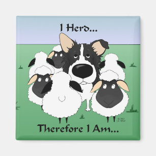 I Herd...Therefore I Am Magnet