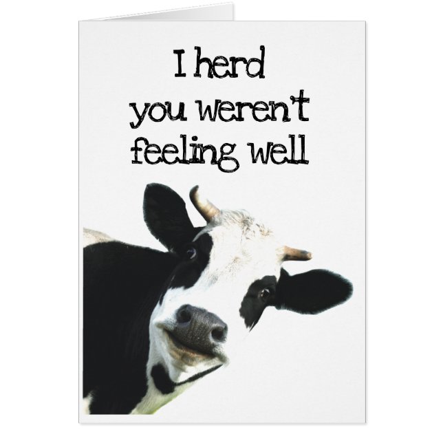 I Herd You weren't Feeling Well Holstein Cow Humor (Front)