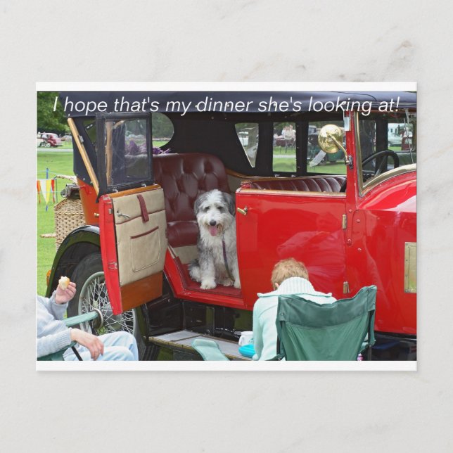 I hope that's my dinner she's looking... postcard (Front)