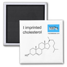 magnet featuring the template Cholesterol
