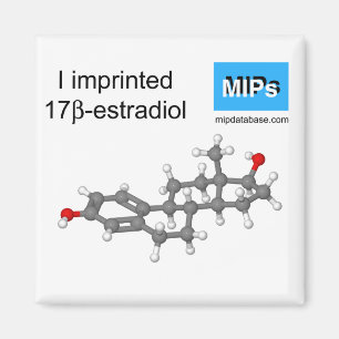 I imprinted estradiol magnet ball and stick