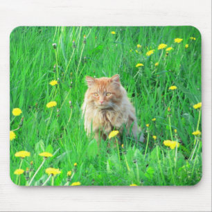 I is a dandy lion mouse mat