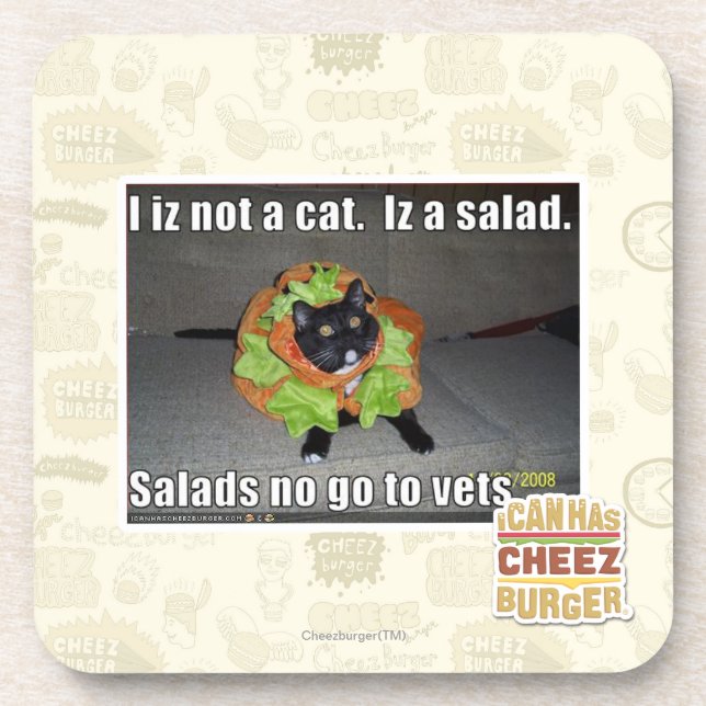 I iz not a cat. Iz a salad. Coaster (Front)