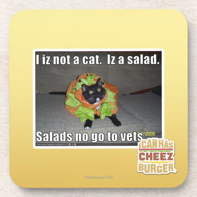 I iz not a cat. Iz a salad. Coaster (Front)