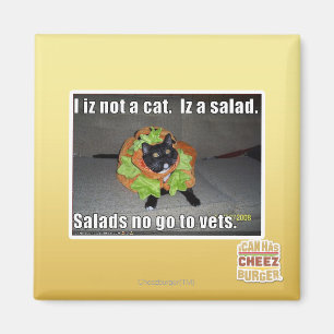 I iz not a cat. Iz a salad. Magnet
