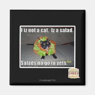 I iz not a cat. Iz a salad. Magnet