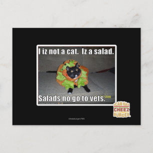 I iz not a cat. Iz a salad. Postcard