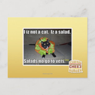 I iz not a cat. Iz a salad. Postcard