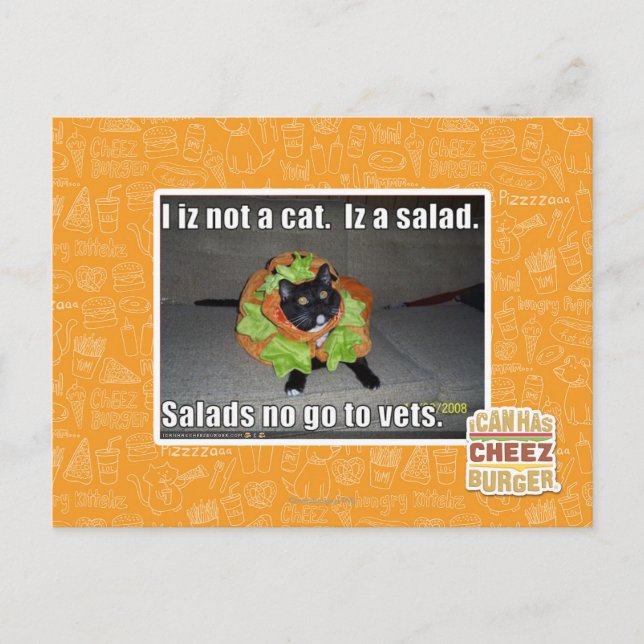 I iz not a cat. Iz a salad. Postcard (Front)