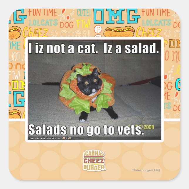I iz not a cat. Iz a salad. Square Sticker (Front)