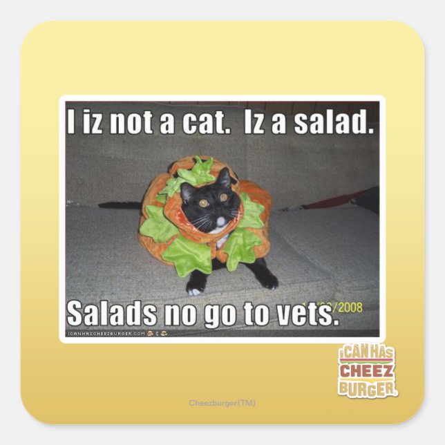 I iz not a cat. Iz a salad. Square Sticker (Front)