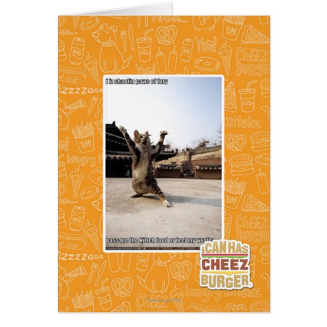 I iz shaolin paws of fury (Front)