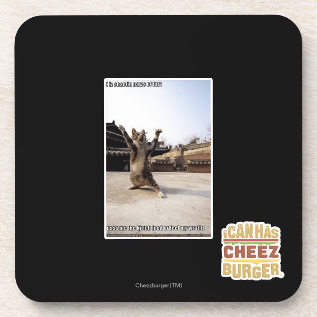 I iz shaolin paws of fury coaster (Front)